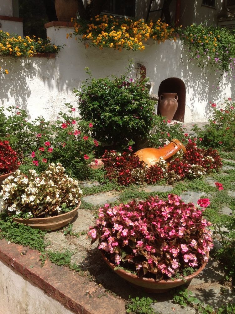 Mediterraneo Bed & Breakfast Anacapri  Eksteriør billede