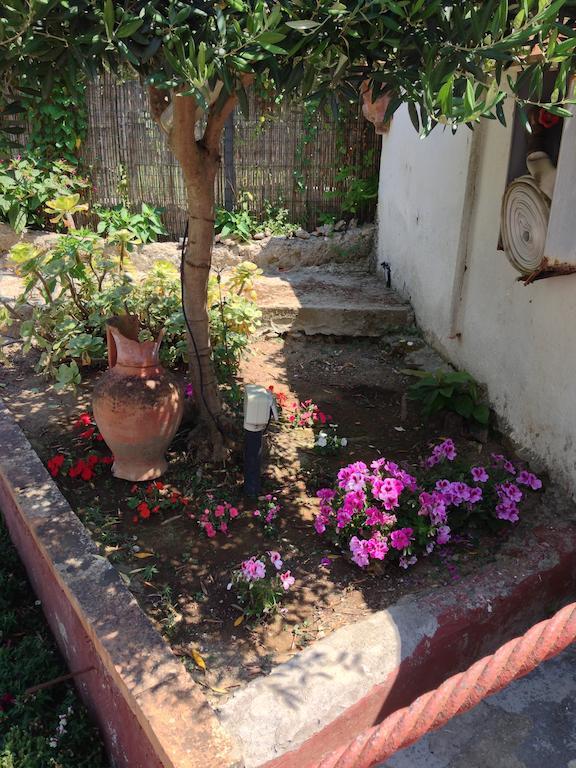 Mediterraneo Bed & Breakfast Anacapri  Eksteriør billede
