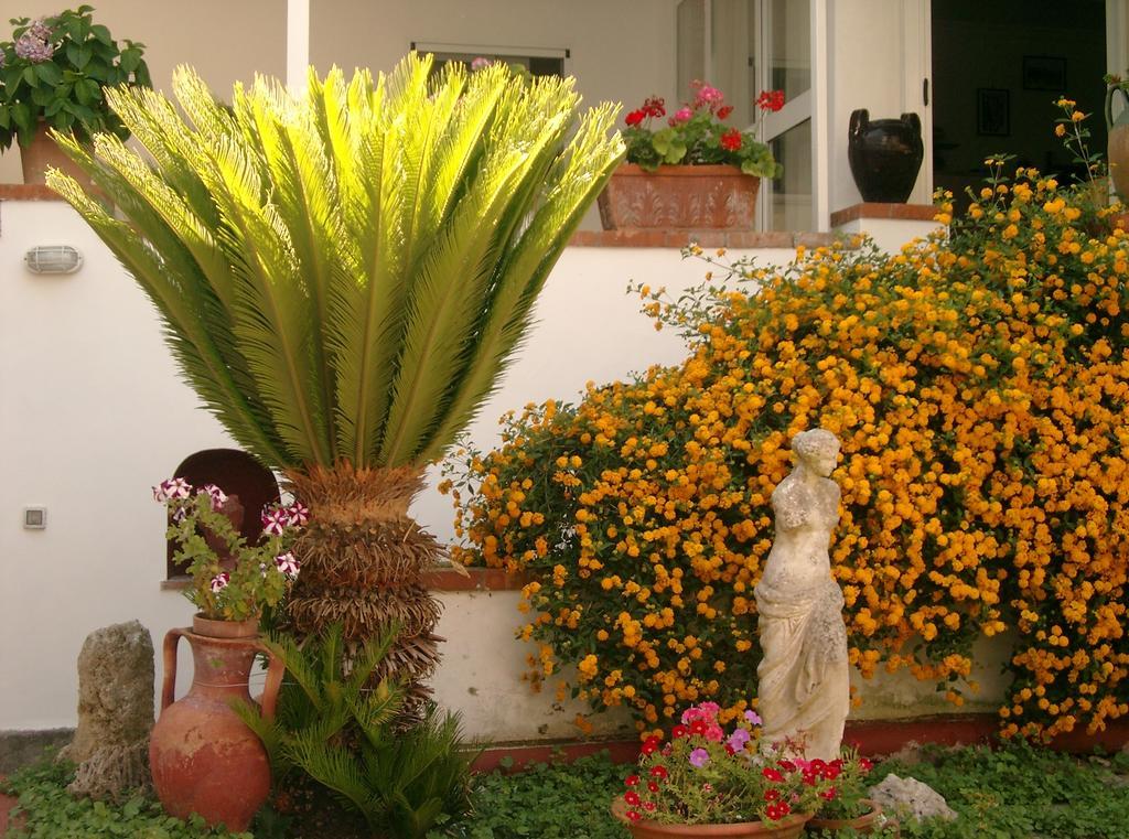 Mediterraneo Bed & Breakfast Anacapri  Eksteriør billede
