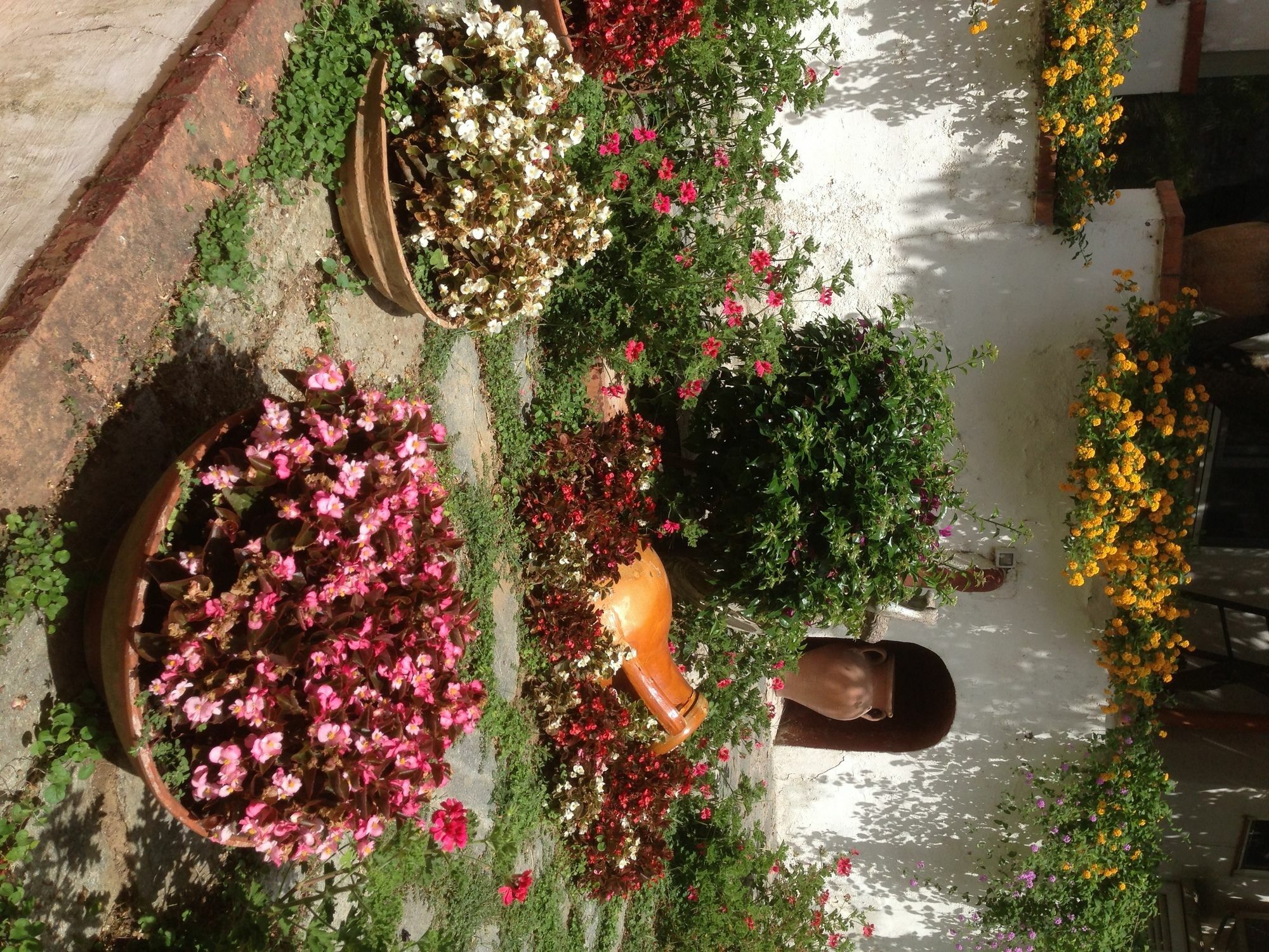 Mediterraneo Bed & Breakfast Anacapri  Eksteriør billede