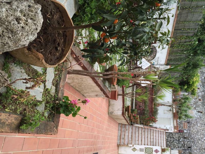 Mediterraneo Bed & Breakfast Anacapri  Eksteriør billede