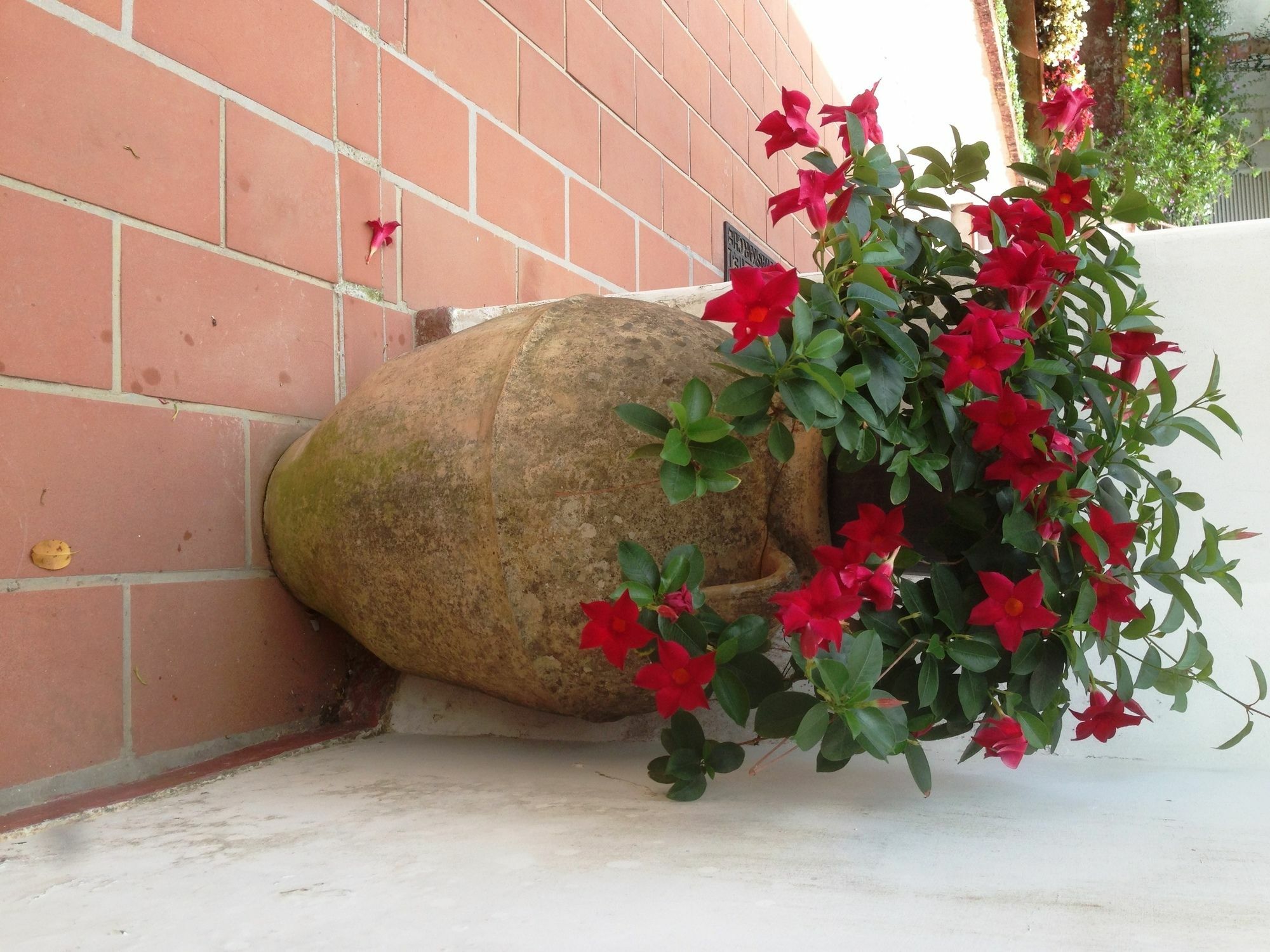 Mediterraneo Bed & Breakfast Anacapri  Eksteriør billede